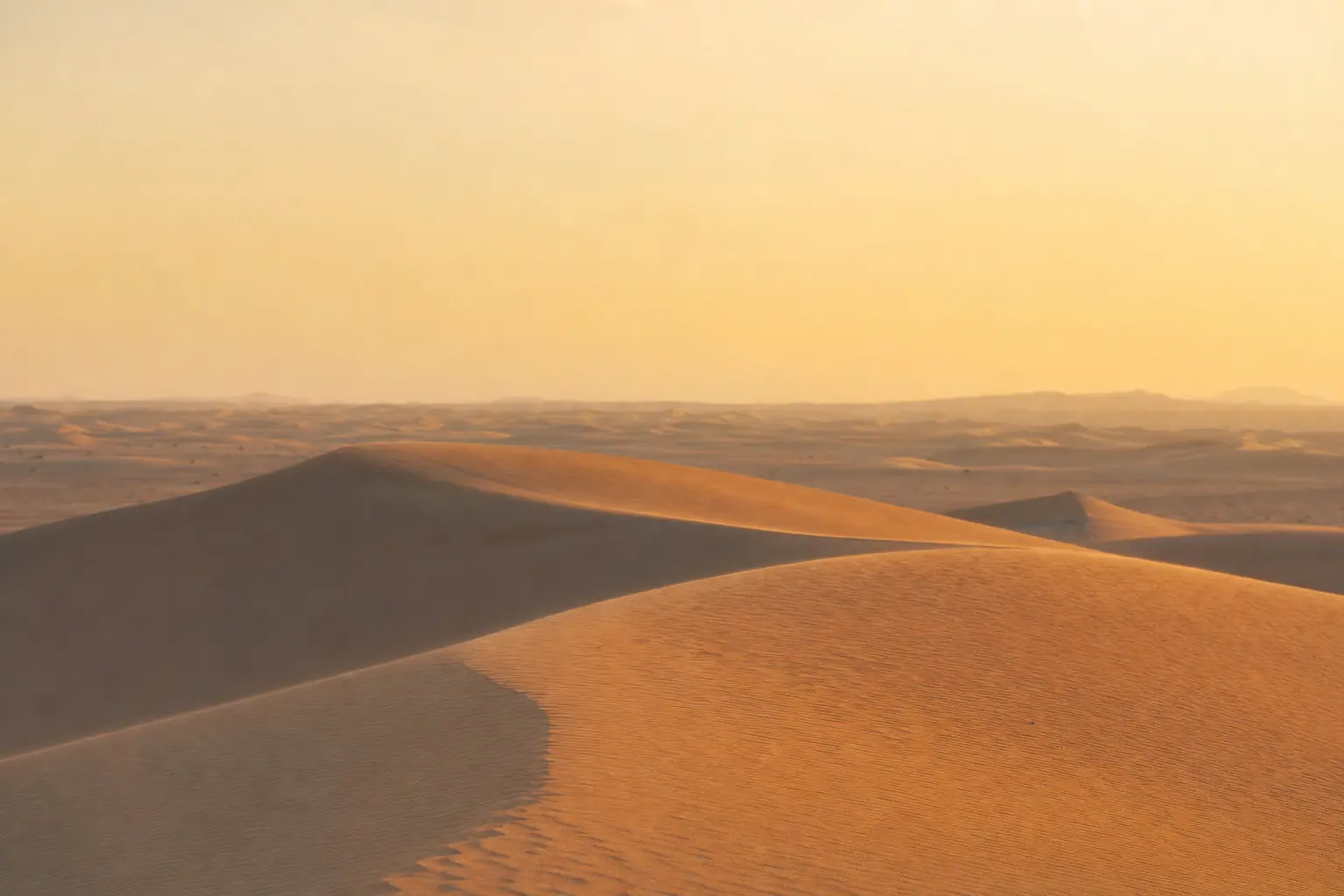 Warm desert dunes at sunset